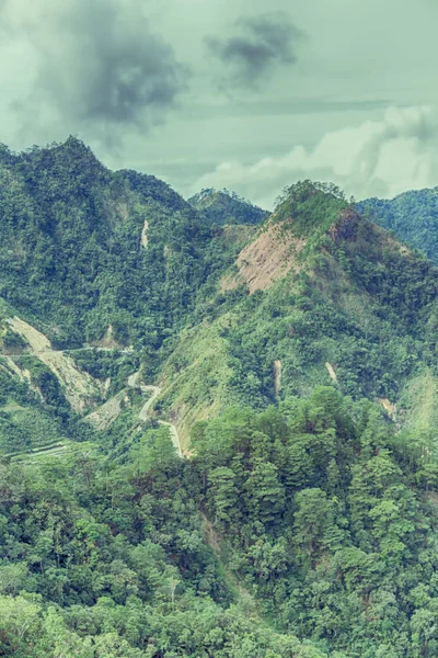 Terrace   field for  coultivation of rice — Stock Photo, Image