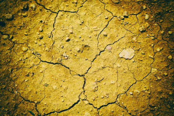 In der Wüste der trockene Boden — Stockfoto