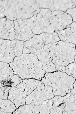 Çölde kuru zemin 