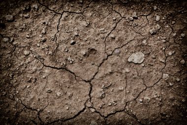 Çölde kuru zemin 