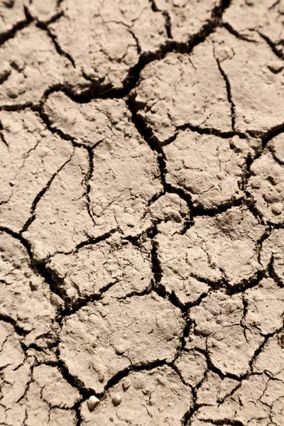 In de woestijn de droge grond — Stockfoto