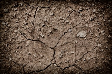 Çölde kuru zemin 