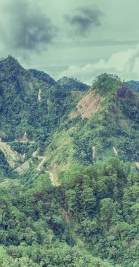   coultivation pirinç Teras alanı   