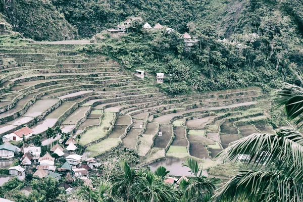 Campo terrazza per la coltivazione del riso — Foto Stock