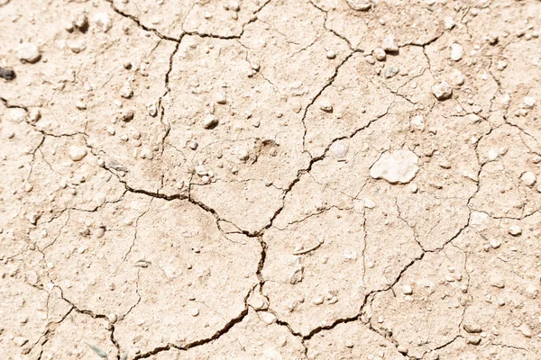 Dans le désert la terre sèche — Photo