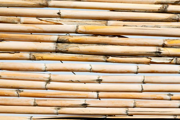 Textura abstracta fondo de una pared de bambú — Foto de Stock