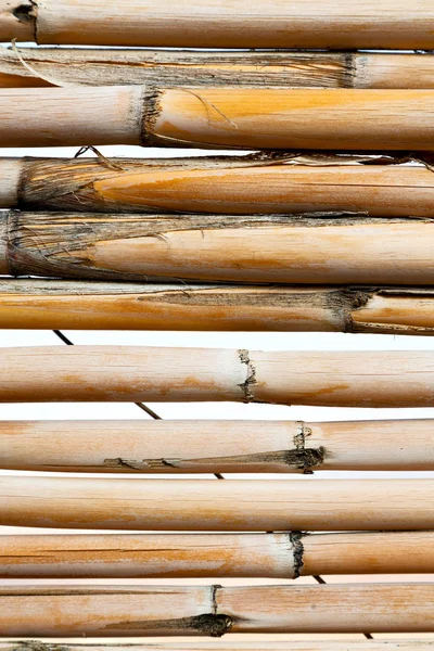 Abstracte textuur achtergrond van een muur van bamboe — Stockfoto