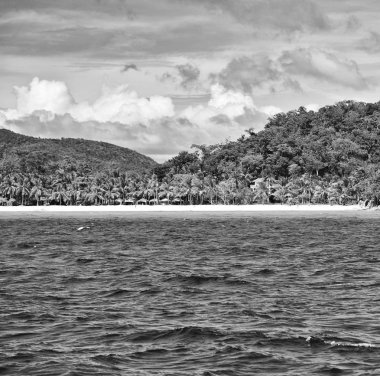 bir tekne güzellikler kıyı şeridi deniz ve rock 
