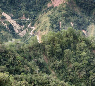   coultivation pirinç Teras alanı   