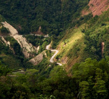   coultivation pirinç Teras alanı   