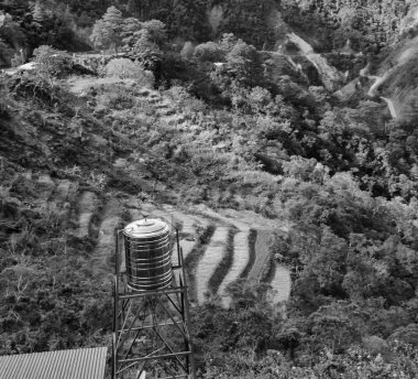   coultivation pirinç Teras alanı   