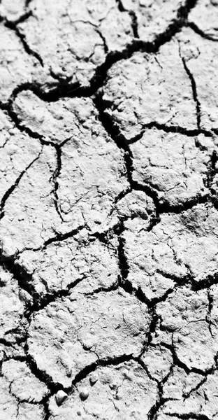 En el desierto la tierra seca — Foto de Stock