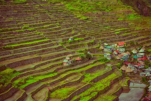 Campo terrazza per la coltivazione del riso — Foto Stock