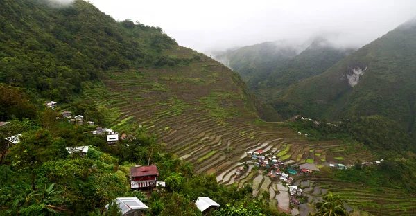 Terrace   field for  coultivation of rice — Stock Photo, Image