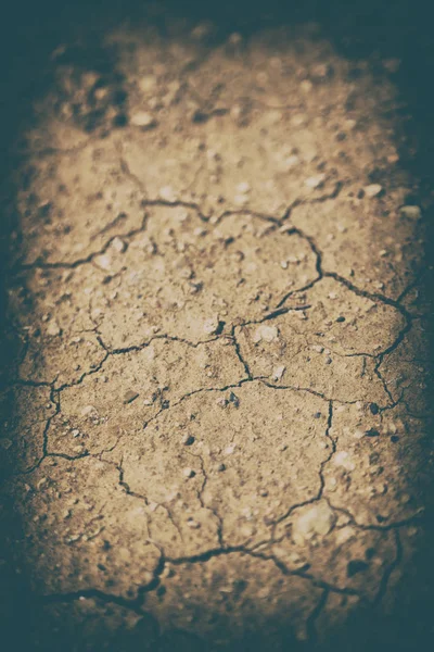 В пустелі сухий ґрунт — стокове фото
