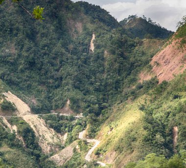   coultivation pirinç Teras alanı   