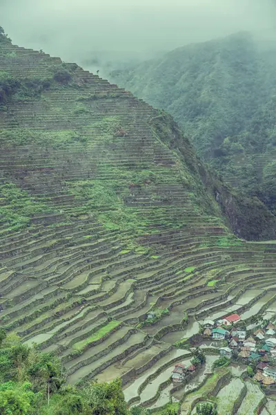 Campo terrazza per la coltivazione del riso — Foto Stock