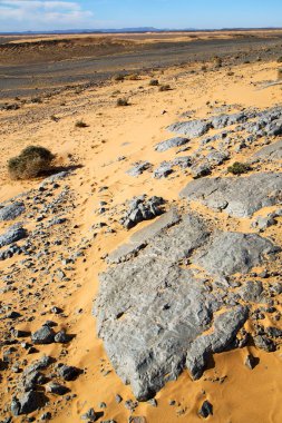  eski fosil morocco sahara ve rock taş gökyüzü çölde