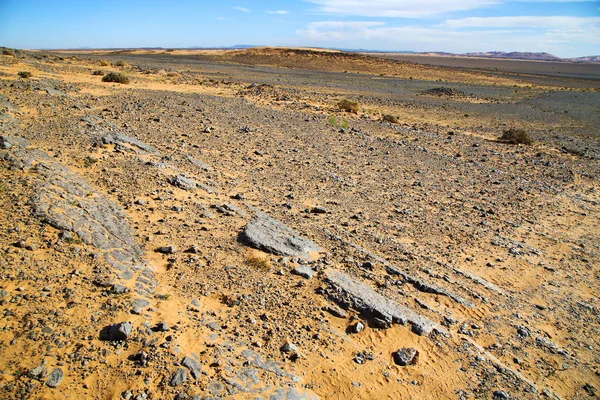 Velho fóssil no deserto do céu de pedra — Fotografia de Stock