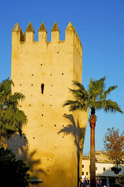 yobaz kahverengi inşaat Afrika Fas ve sky tower yakınındaki