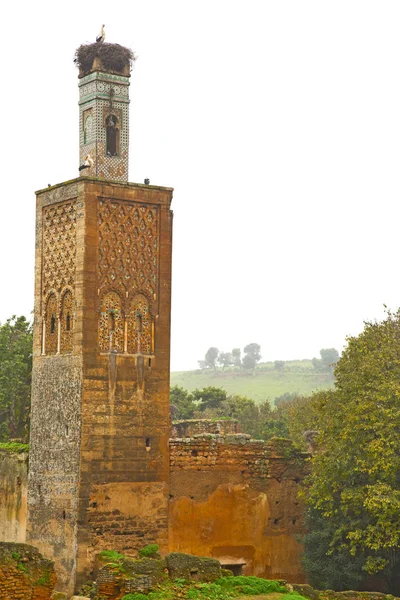 Chellah au Maroc afrique le vieux monument romain détérioré a — Photo
