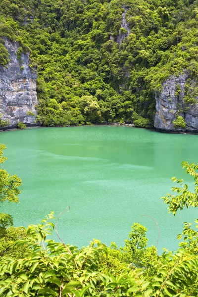 Kustlinjen i gröna lagunen och träd — Stockfoto