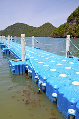 plastik iskele kıyı şeridi bir lagün ve ağaç Güney 