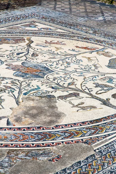 Telhado de mosaico na cidade velha história do morocco viajar — Fotografia de Stock