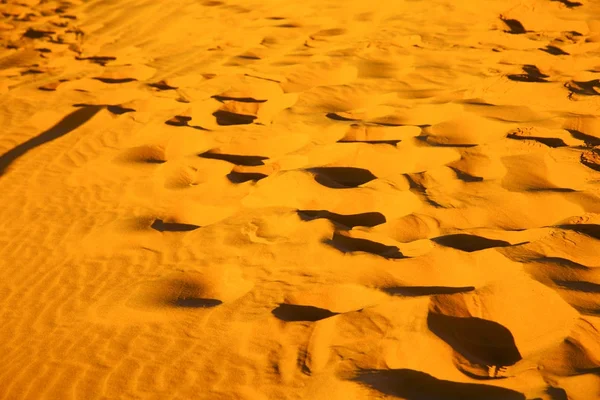 Afrika kahverengi kumul gündoğumu