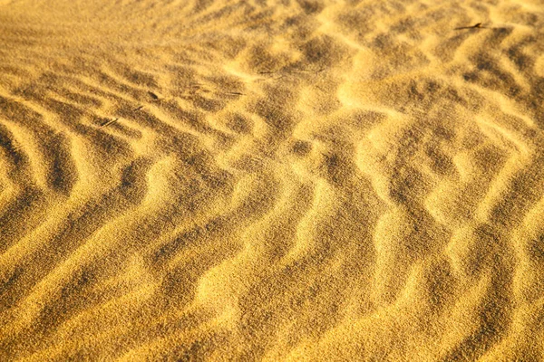 De bruine lijn van de sahara Afrika — Stockfoto