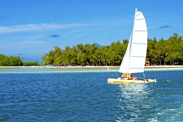 Ile Cerfs Algas Marinhas Oceano Indiano Mauritius Montanha Areia Ilha — Fotografia de Stock