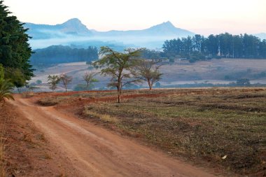   Svaziland yaban hayatı doğa rezerv 