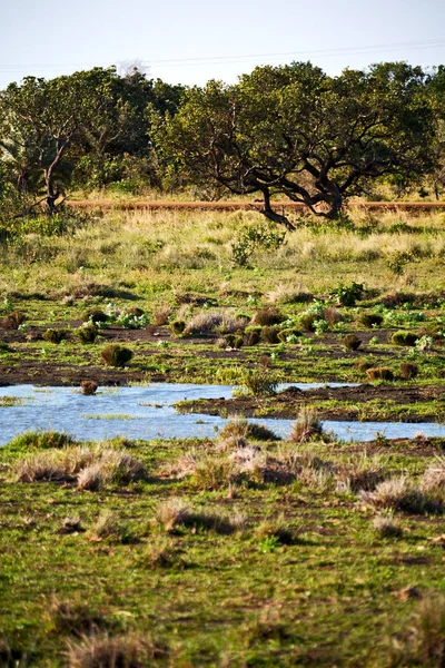 V Jižní Africe rybníka jezero přírodní rezervace a bush — Stock fotografie