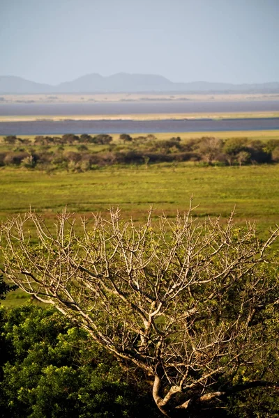 I Sydafrika damm sjö naturreservat och bush — Stockfoto