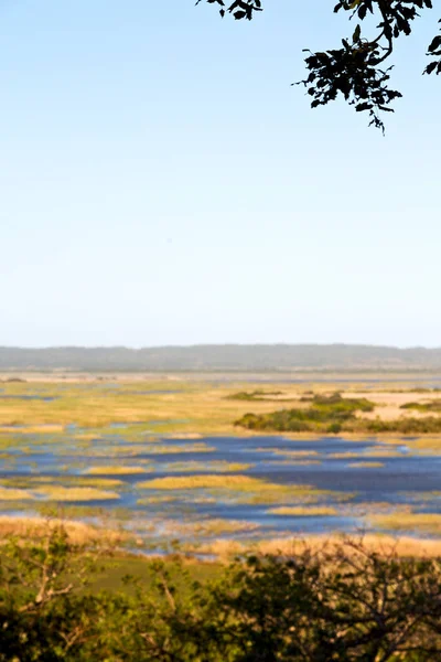 In Sudafrica stagno lago riserva naturale e cespuglio — Foto Stock