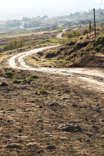   Güney Afrika'da kara çalı ve ağaç 