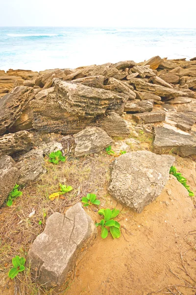 In Zuid-Afrika hemel Oceaan reserveren natuur — Stockfoto