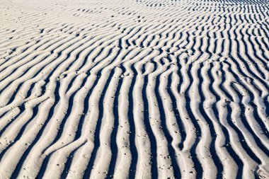 Beyaz kum plaj, Avustralya, Whitsunday Adası ve soyut doku 