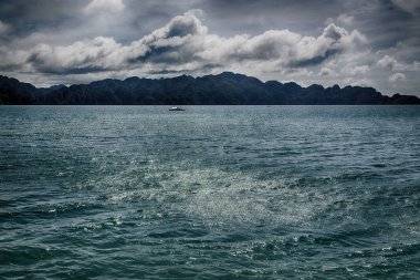 Filipinler 'deki bir tekneden El Nido Palawan yakınlarındaki yılan adasından güzel bir panorama kıyısı denizi ve kaya 