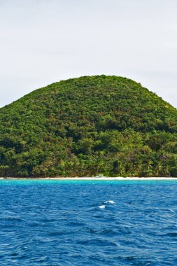 Filipinler 'deki bir tekneden El Nido Palawan yakınlarındaki yılan adasından güzel bir panorama kıyısı denizi ve kaya 