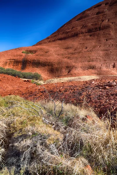 Australia Outback Canyon Dead Tree Mountain Nature — Stock Photo, Image