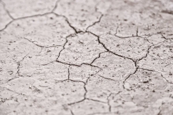 Nel Deserto Terreno Asciutto Come Texture Sfondo — Foto Stock