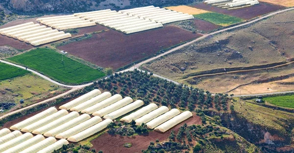 High Coultivation Vegetable Greenhouse Jordan — Stock Photo, Image