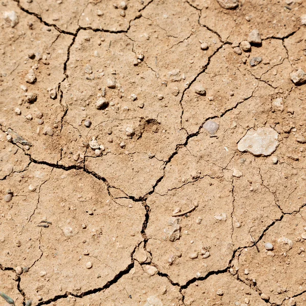 Nel Deserto Terreno Asciutto Come Texture Sfondo — Foto Stock