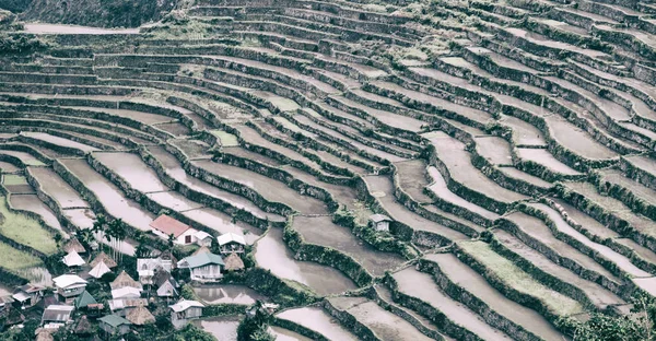Borrão Campo Terraço Filipinas Para Coultivation Arroz Site Unesco Banaue — Fotografia de Stock