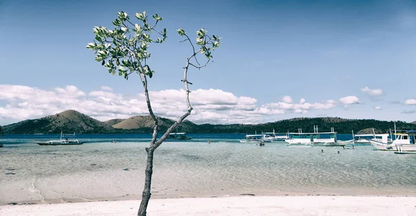 Ilha Filipinas Bela Árvore Cosatline Colina Barco Para Turista — Fotografia de Stock