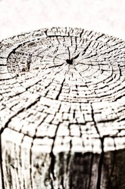 yüzey ağaç arka plan tahıl gibi soyut doku