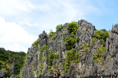bir tekne palm cliff Beach görünümünden Filipinler ve Pasifik Okyanusu kayadan bulanıklık