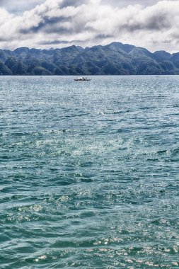 Filipinler 'deki bir tekneden El Nido Palawan yakınlarındaki yılan adasından güzel bir panorama kıyısı denizi ve kaya 