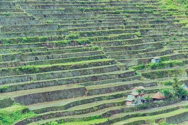 Borrão Campo Terraço Filipinas Para Coultivation Arroz Site Unesco Banaue — Fotografia de Stock